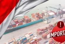 أهم أنواع التجارة من اندونيسيا