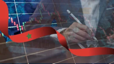 أفضل تجارة مربحة في المغرب