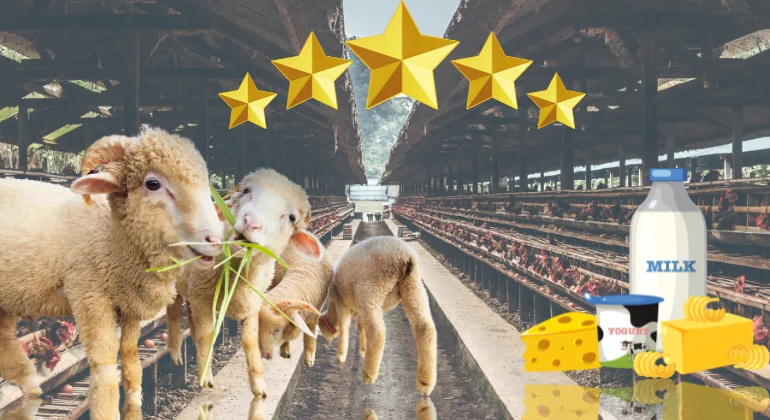 افضل مشروع حيواني مربح