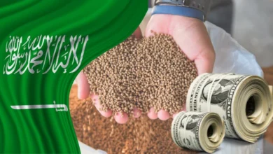 هل مصنع العلف الحيواني مربح في السعودية؟