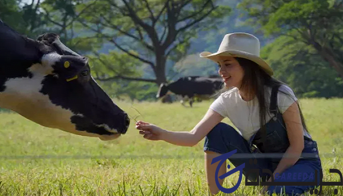 فيزا استراليا للمقيمين في السعودية