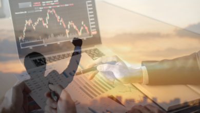 أبرز مشروع مربح من المنزل