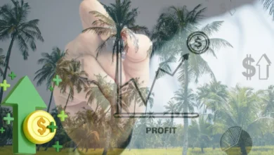 أفضل مشروع مربح في الريف المصري