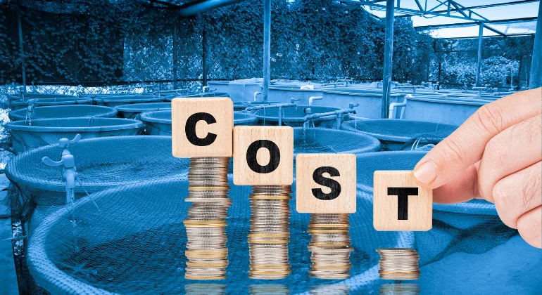 تكلفة بدء مشروع مزرعة سمكية صغيرة