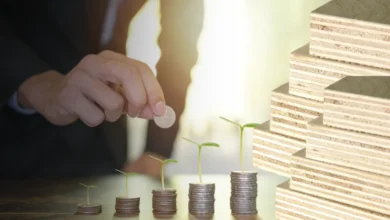 كيفية تحقيق أرباح تجارة الأخشاب