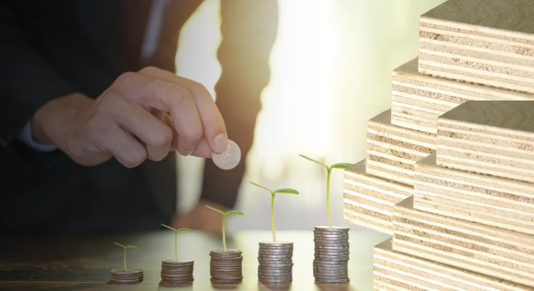 كيفية تحقيق أرباح تجارة الأخشاب