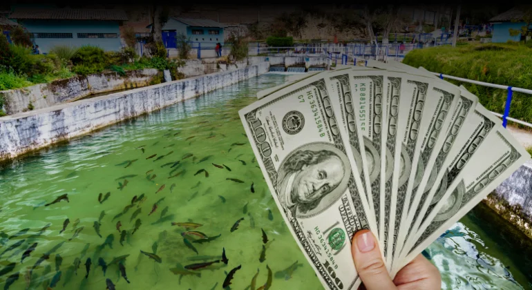 هل مزارع السمك مربحة؟