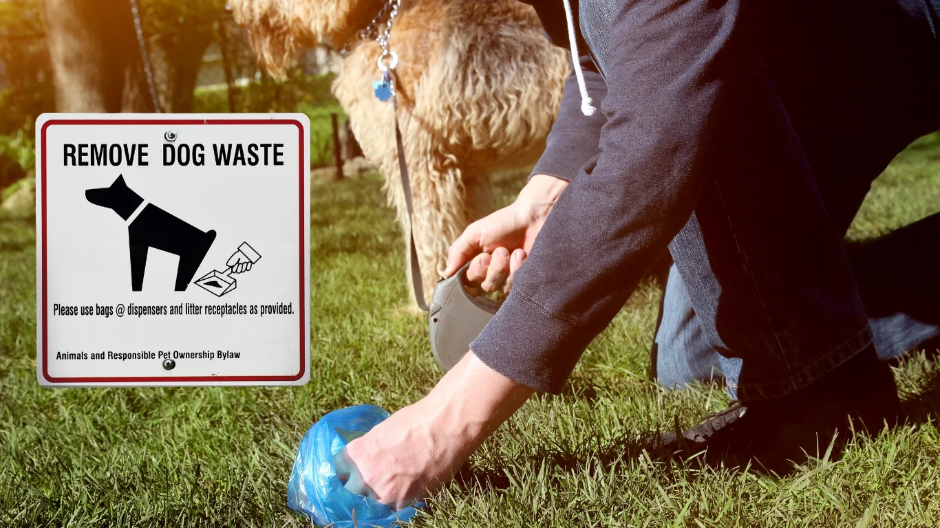 إزالة مخلفات الكلاب